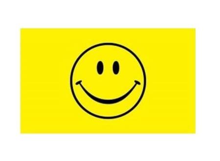 SMILEY FACE FLAG